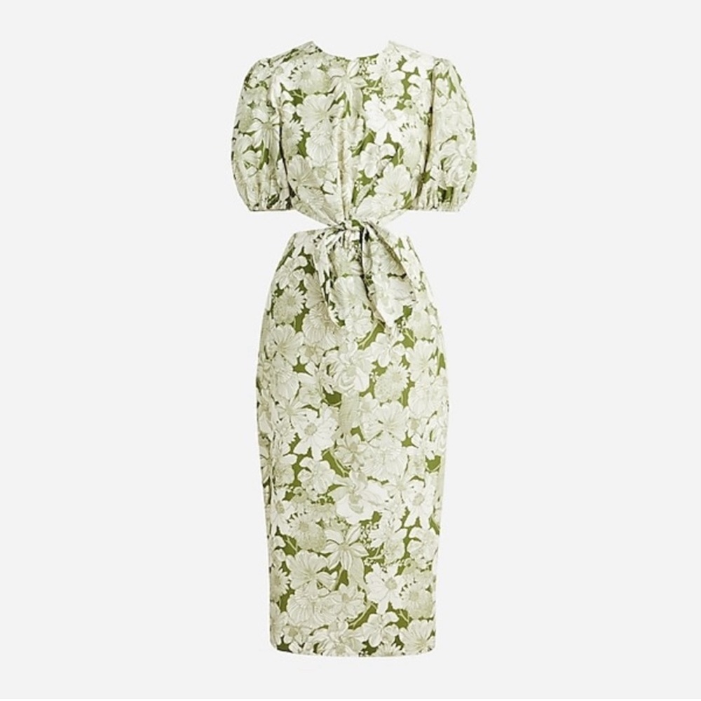 J.Crew Liberty Linen Dress - Green + White NWT